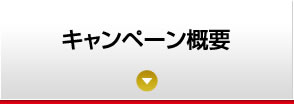キャンペーン概要