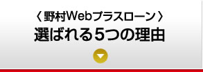 〈野村Webプラスローン〉選ばれる5つの理由