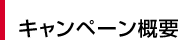 キャンペーン概要