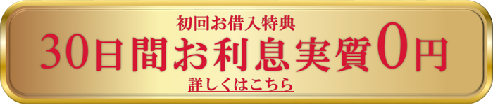 初回お借入特典 30日間お利息実質0円 詳しくはこちら